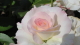 img0100.jpg