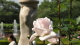 img0111.jpg
