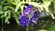 img0123.jpg