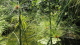 img0126.jpg