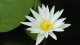 img0131.jpg