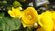 img0136.jpg