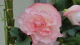 img0143.jpg