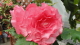 img0144.jpg