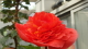 img0145.jpg
