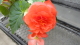 img0147.jpg
