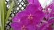 img0160.jpg