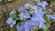 img0165.jpg