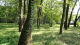 img0167.jpg