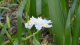 img0170.jpg