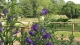 img0174.jpg