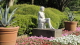 img0186.jpg