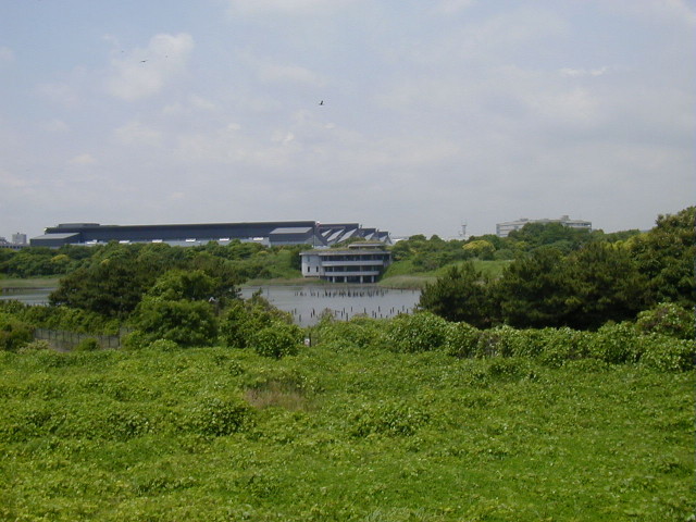 img0001.jpg