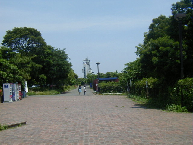 img0004.jpg