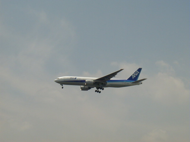 img0008.jpg
