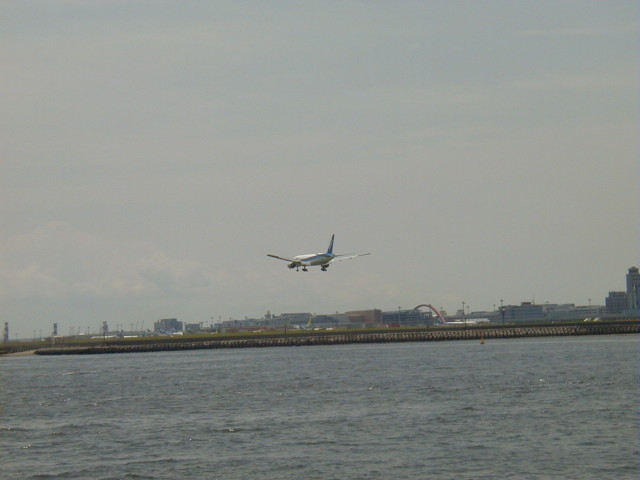 img0009.jpg
