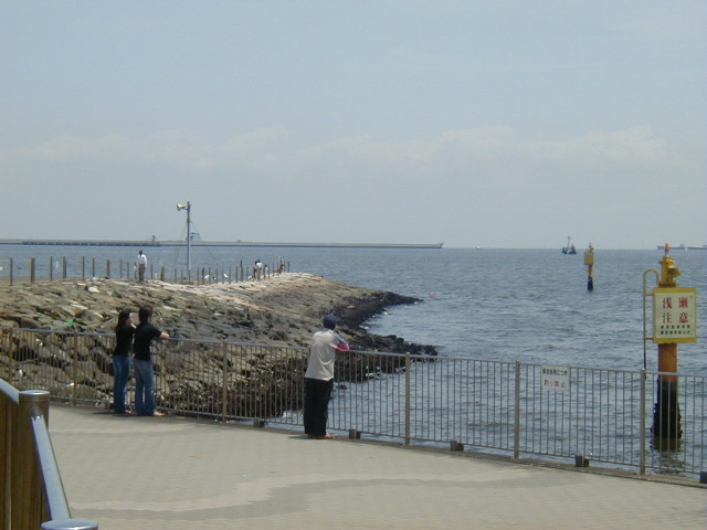 img0010.jpg