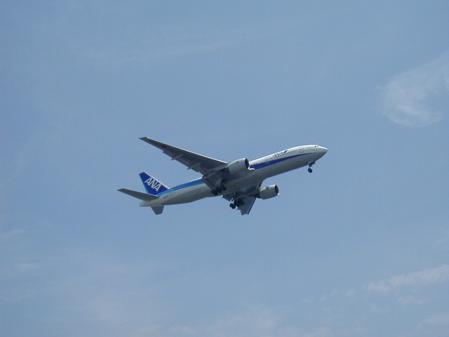 img0017.jpg