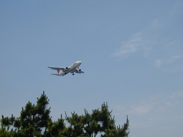 img0019.jpg