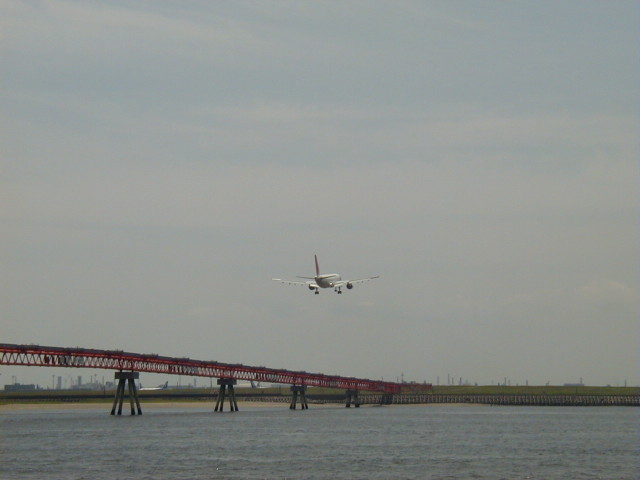 img0020.jpg