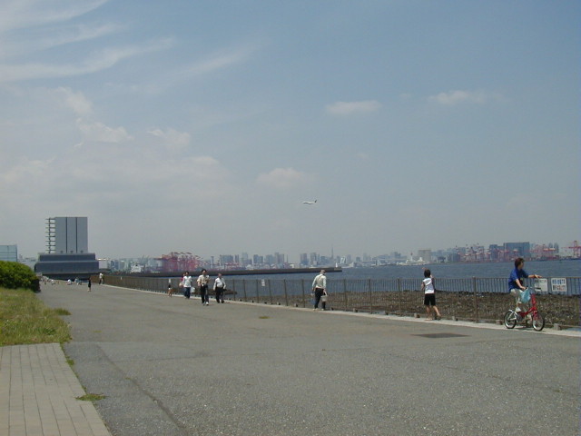 img0029.jpg