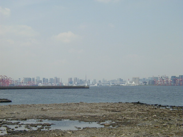 img0030.jpg
