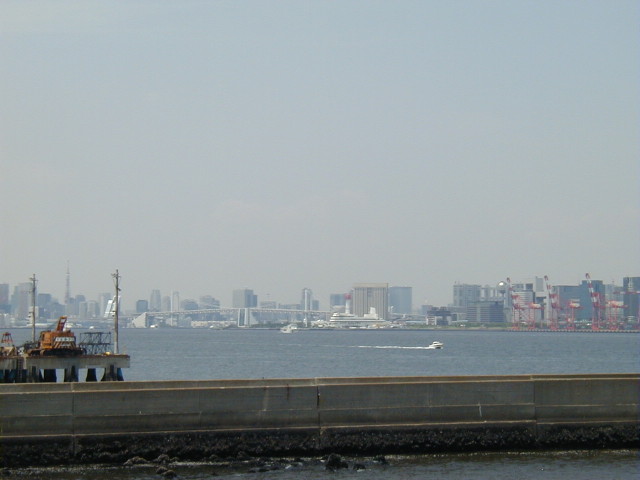 img0037.jpg