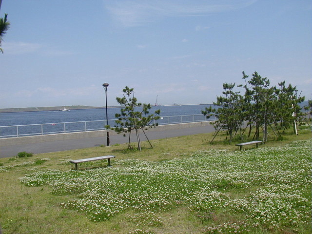 img0039.jpg