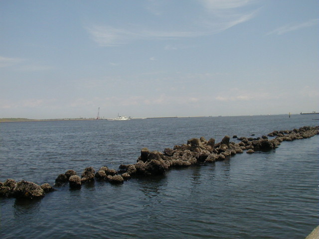 img0040.jpg