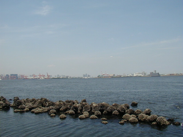 img0041.jpg