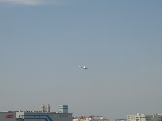 img0049.jpg