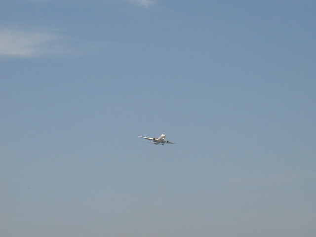 img0050.jpg