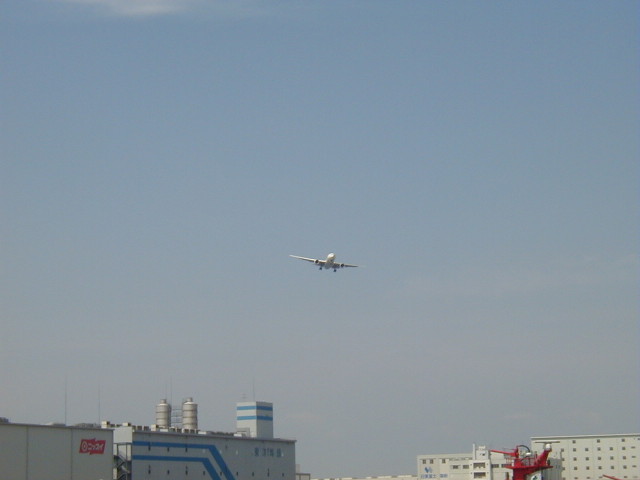img0059.jpg