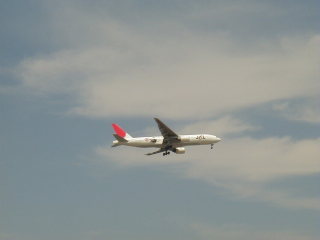 img0061.jpg