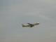 img0002.jpg