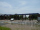 img0003.jpg