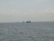img0007.jpg