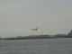 img0009.jpg