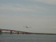 img0015.jpg