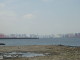 img0030.jpg