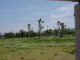 img0038.jpg