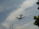 img0046.jpg