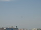 img0049.jpg