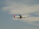 img0061.jpg