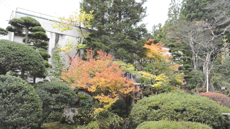 img0007.jpg