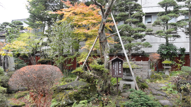 img0010.jpg