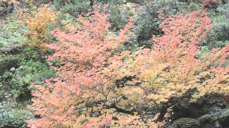 img0014.jpg