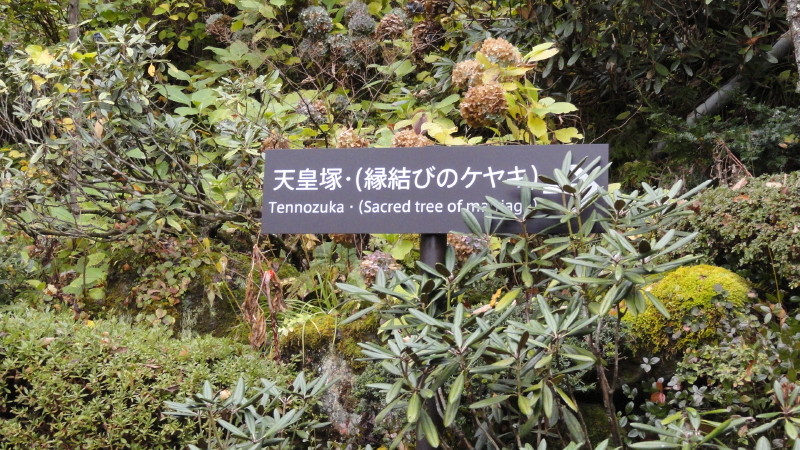 img0017.jpg