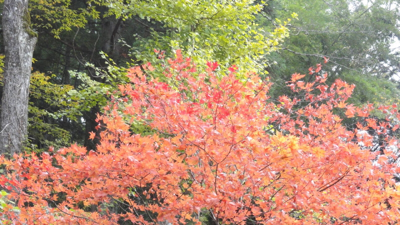 img0018.jpg