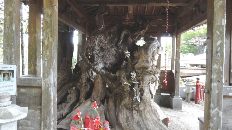 img0020.jpg